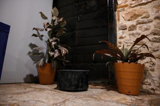 Christi Iuxury Apartment بريفيزا المظهر الخارجي الصورة